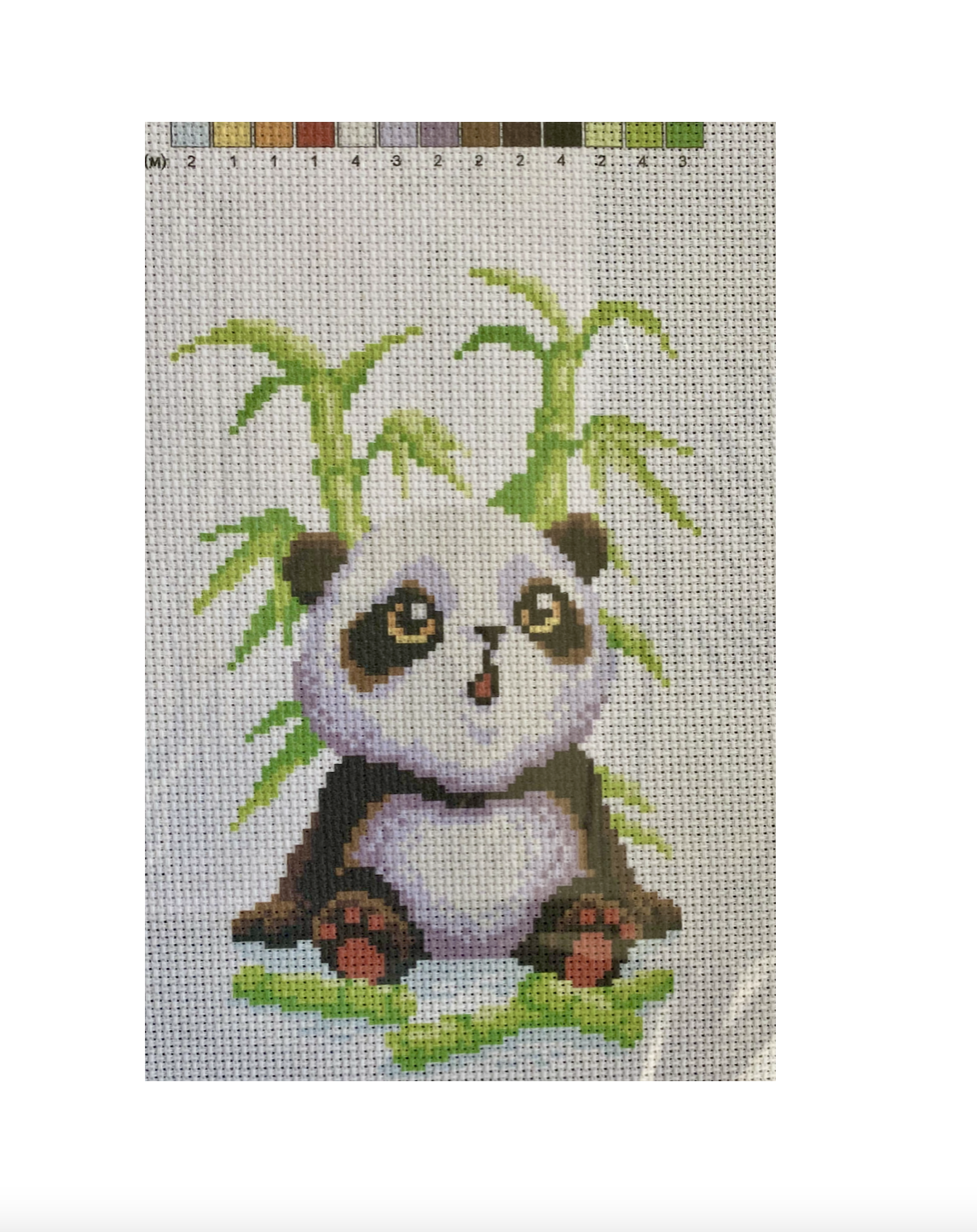 Baby Panda 21*30 Stamped Cross Stitch Canvas - Embroidery Kits Superstore